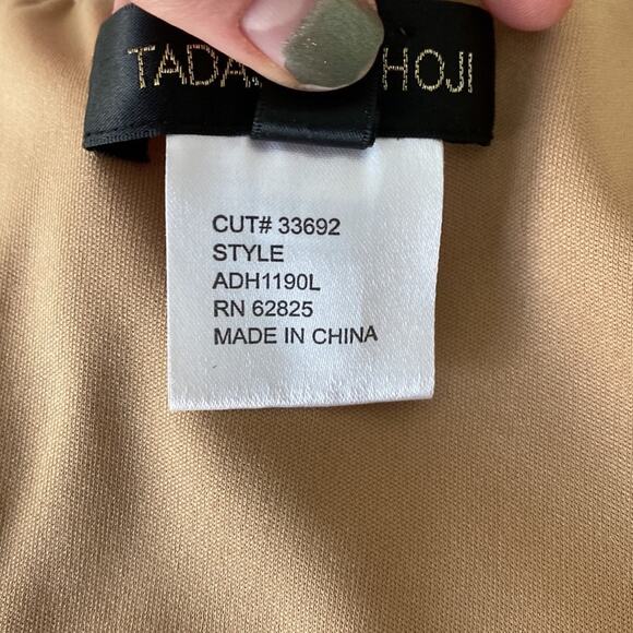 TADASHI SHOJI Mesh Lace Sleeveless Floor Length Evening Gown Style ADH1190L - Picture 13 of 14